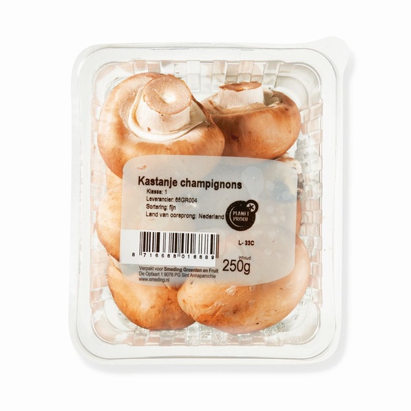 Champignon kastanje 250 GR