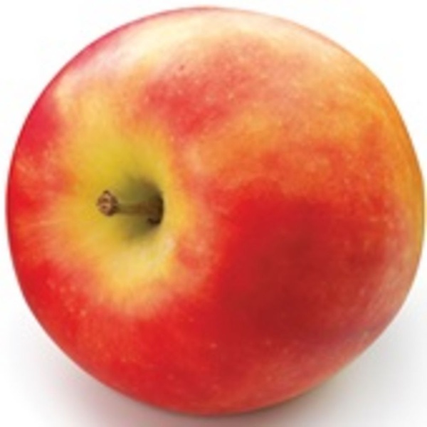 Appel elstar per stuk 225gr.