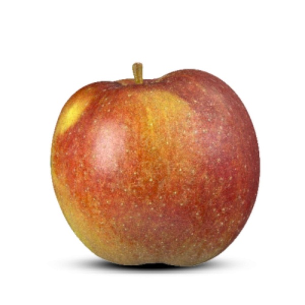 Appel goudrenet gelegd p.st