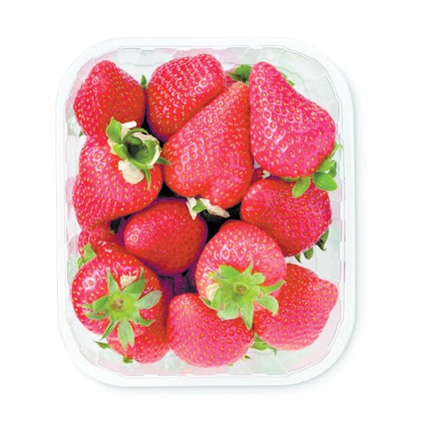 AGF aardbeien open top 500 GR