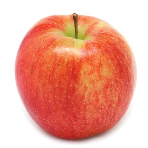 Appel jonagold 1.5 KG tas