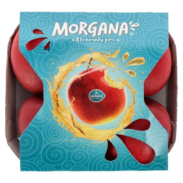 Appel morgana 4 ST